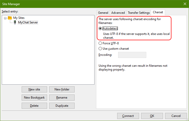 FileZilla encodung