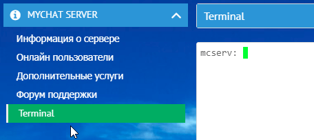 Терминал MyChat Server для ввода текстовых консольных команд